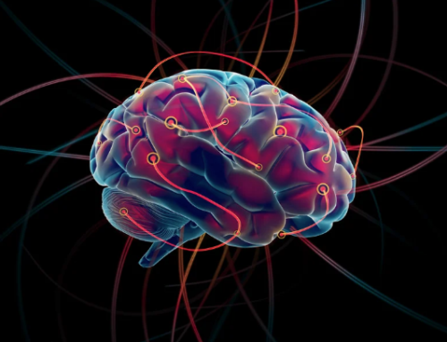 Is Your Brain Adapting?