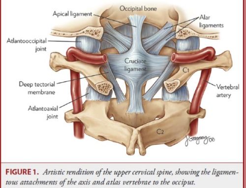 Alar Ligaments: Anatomy, Biomechanics, Injury, MRI & Clinical Considerations