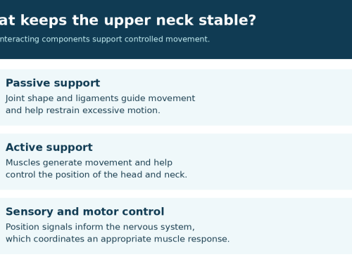 The Craniocervical Junction: Anatomy, Biomechanics, Neurology, Imaging, and Clinical Considerations