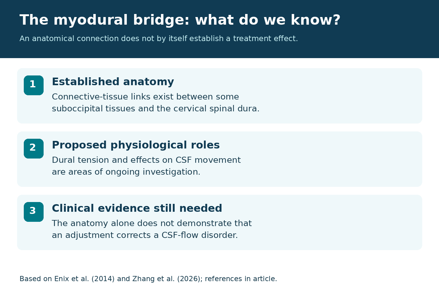 The myodural bridge is established anatomy; proposed physiological roles and treatment effects require separate evidence.